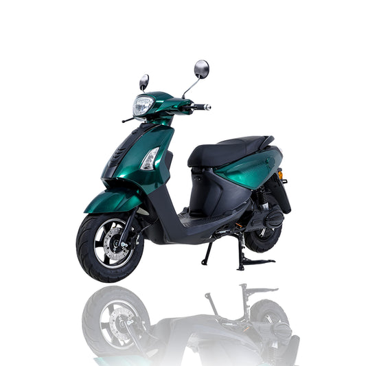 Skuter elektrik me dy rrota EF06 1000w me motor elektrik të shpejtë