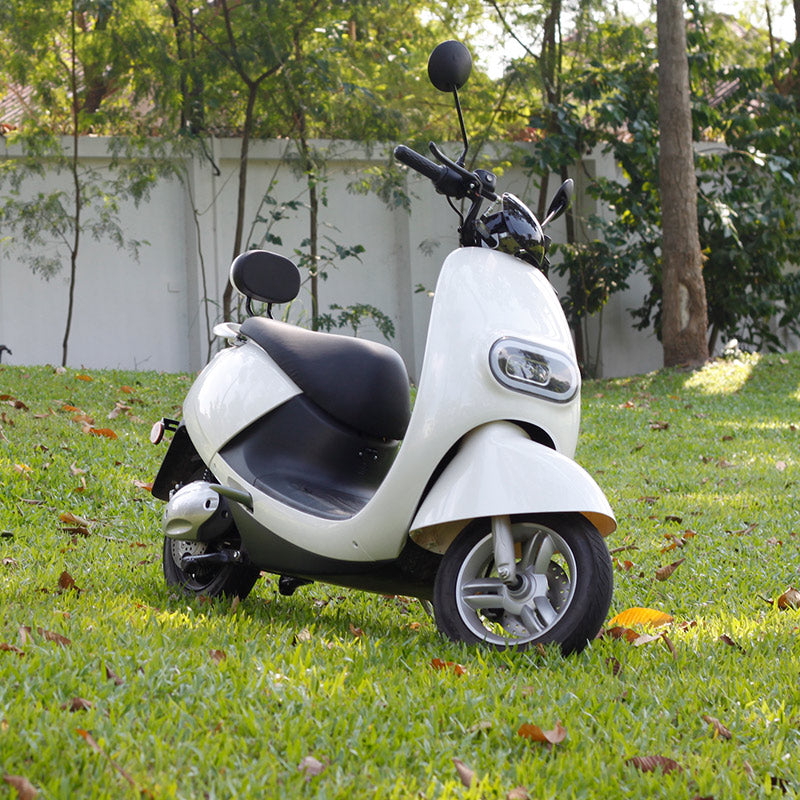 MOTORRIKE ELEKTRIKE LEAD-ACID SKUTER DISK PARA FRENA E PASME DISKE 800W FUQI MOTOR