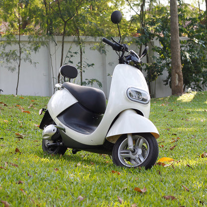 MOTORRIKE ELEKTRIKE LEAD-ACID SKUTER DISK PARA FRENA E PASME DISKE 800W FUQI MOTOR
